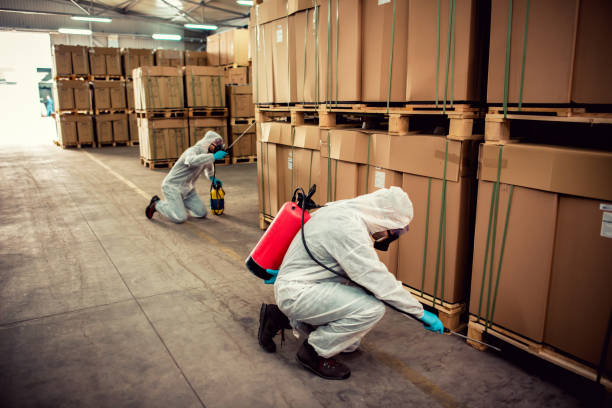 Best Best Pest Control Companies  in Bronte, TX