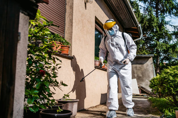 Best Pest Removal Services  in Bronte, TX