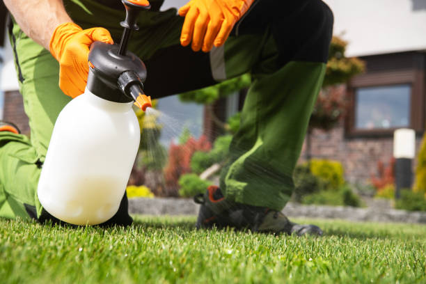 Best Affordable Pest Control Services  in Bronte, TX