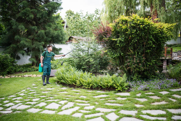 Best Pest Prevention Services  in Bronte, TX