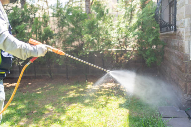  Bronte, TX Pest Control Pros