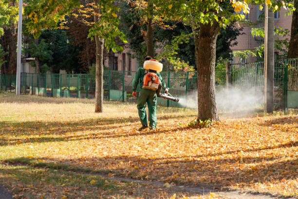Best Mosquito Control Services  in Bronte, TX