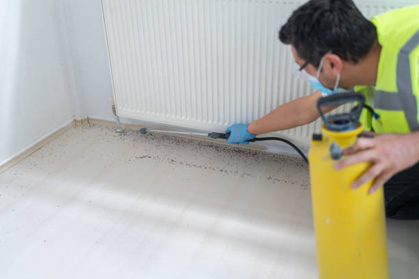 Best Ant Control Services  in Bronte, TX
