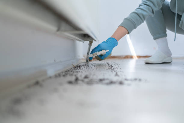 Best Pest Inspection Near Me  in Bronte, TX
