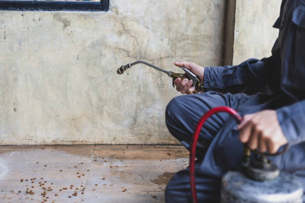 Best Best Pest Control Companies  in Bronte, TX