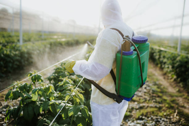 Best Exterminator Services  in Bronte, TX